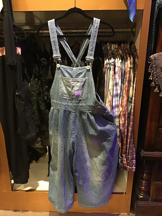 Denim Crop Wide-leg Overalls