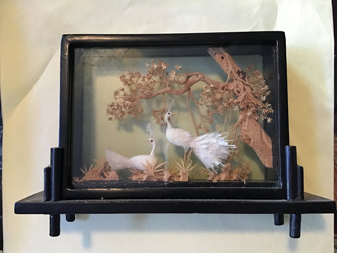 Framed Asian Shadow Box
