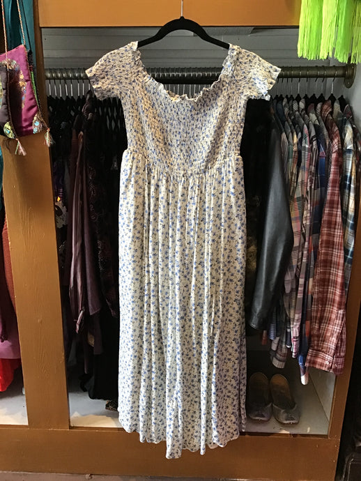 Cream & Blue Flower Dress