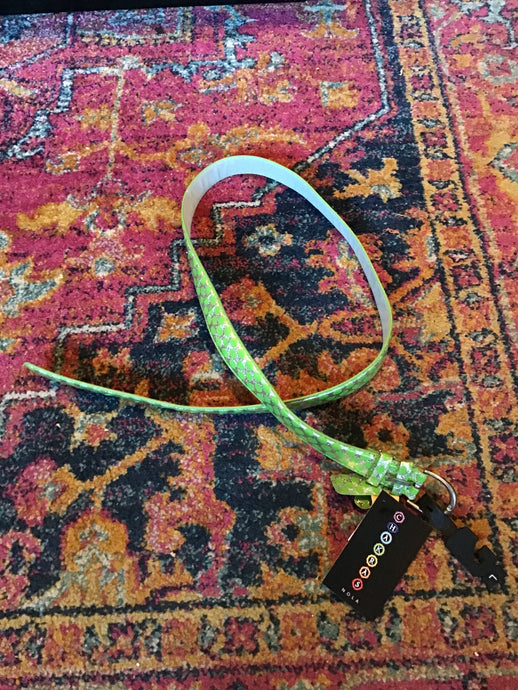 Green & Silver Dotted Belt