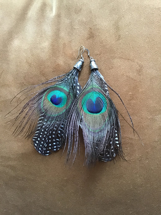 Peacock Feather Earrings